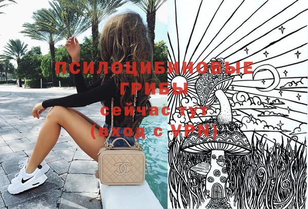 скорость Белокуриха