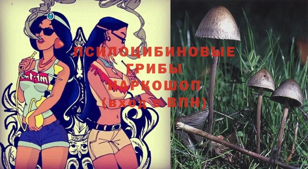 скорость Белокуриха