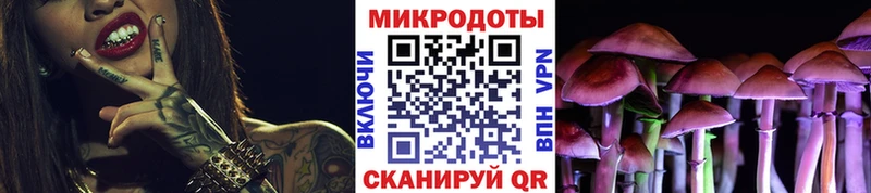 Купить  Дегтярск  Галлюциногенные грибы Psilocybine cubensis 